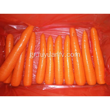 Θρεπτικό φρέσκο ​​μεγάλο καρότο